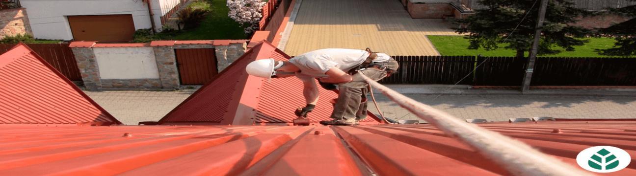 MI Roof Repair